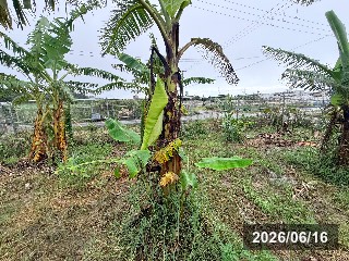 ナムワダム