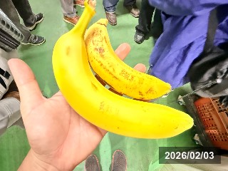 台湾で撮影．