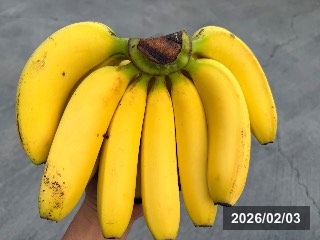 台湾にて撮影