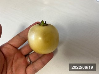 ペピーノ