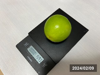 果実重
