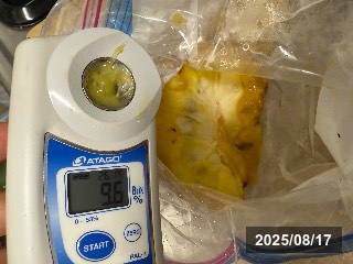 果実糖度