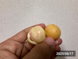 ランバイ