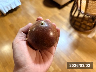 サニーシャイン．糸満フルーツ園けんちゃんにて収穫．