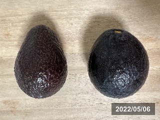 右側がリンダ，左側がハス