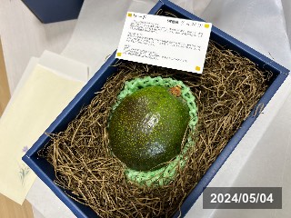 リード