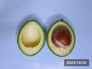 種子大きい
