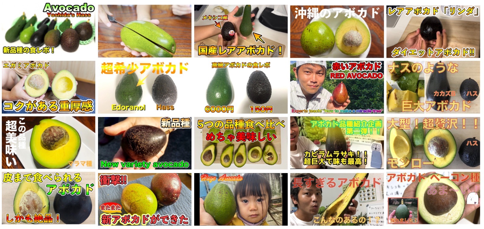 アボカド