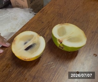 フユミツ　冬蜜