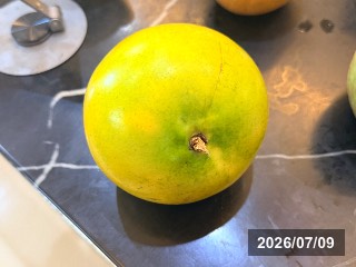 シンコウミツ　新黄蜜