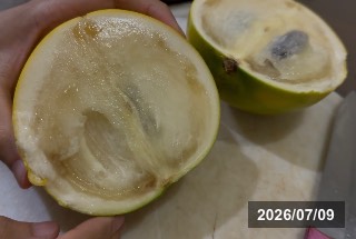 シンコウミツ　新黄蜜
