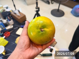 シンコウミツ　新黄蜜